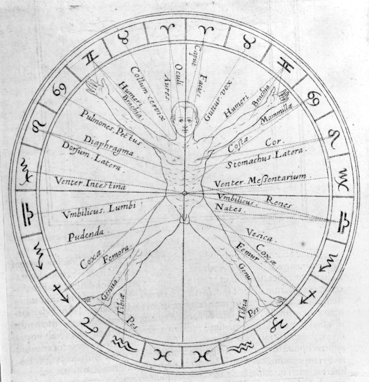 A horoszkópok öntésének tudománya Robert Fludd „Utriusque Cosmi Historia” című művéből, 1618-ban megjelent kiadás alkotó: English School