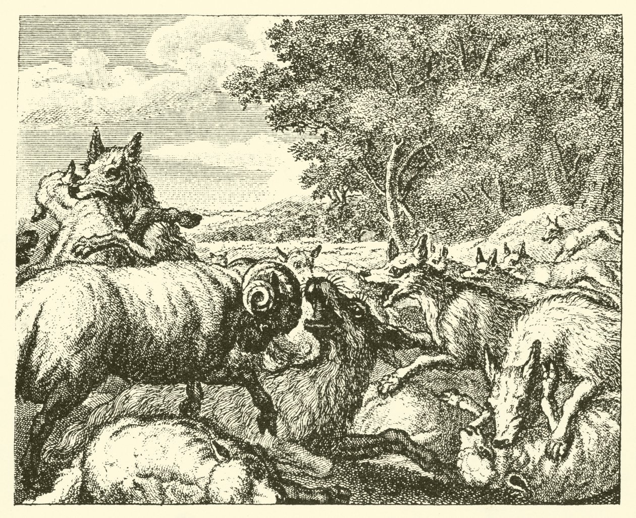 A farkasok és a bárányok (metszet) alkotó: English School