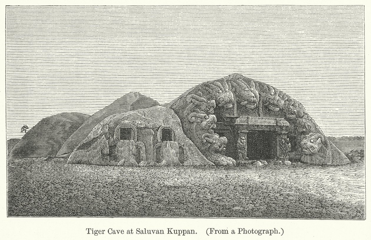 Tigrisbarlang Saluvan Kuppanban (metszet) alkotó: English School
