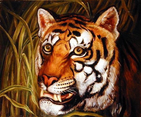 Tigris, fényesen égő tigris... (olaj, vászon) alkotó: English School