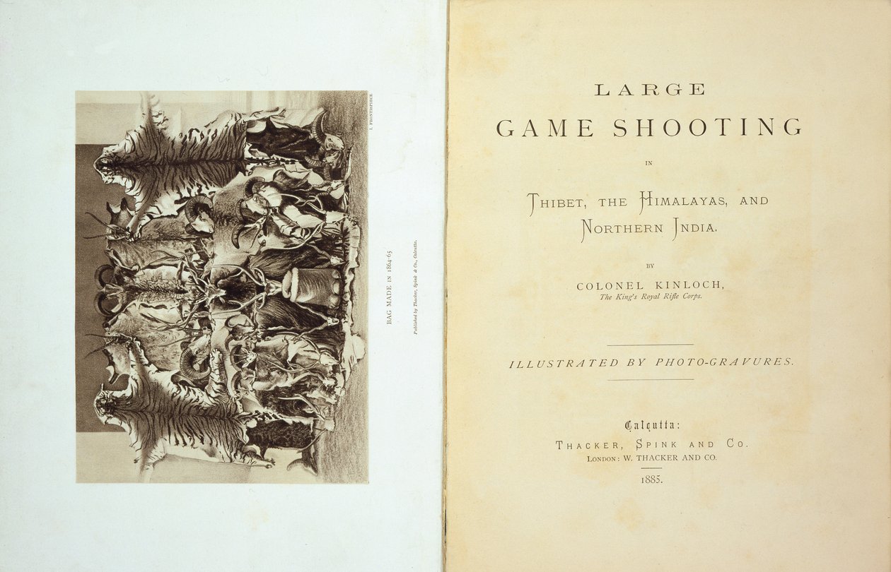 Alexander Kinloch ezredes által készített Large Game Shooting in Tibet, a Himalaya és Northern India címlapja és előlapja, 1885 alkotó: English School