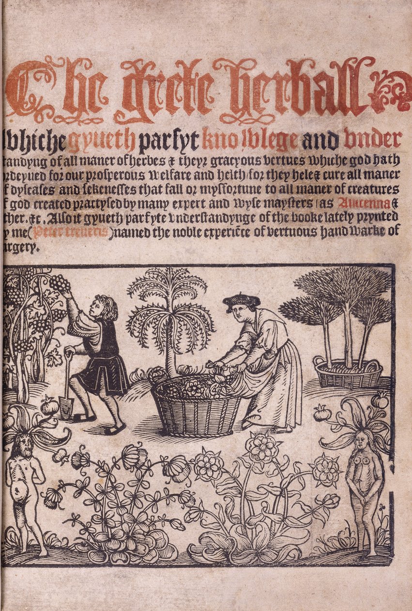 Kerti jelenetet ábrázoló címlap ábrákkal, 1529 alkotó: English School
