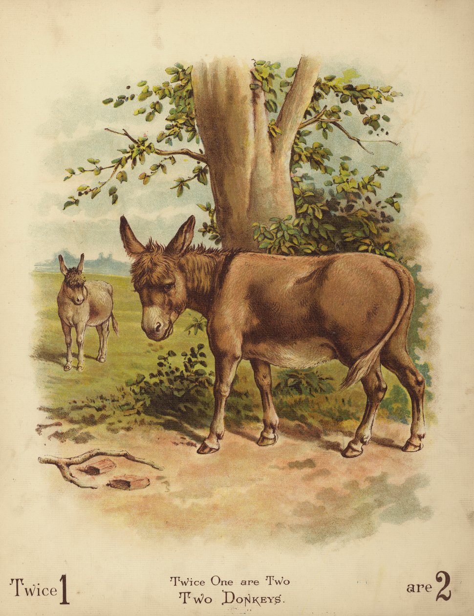 Két szamár (chromolitho) alkotó: English School