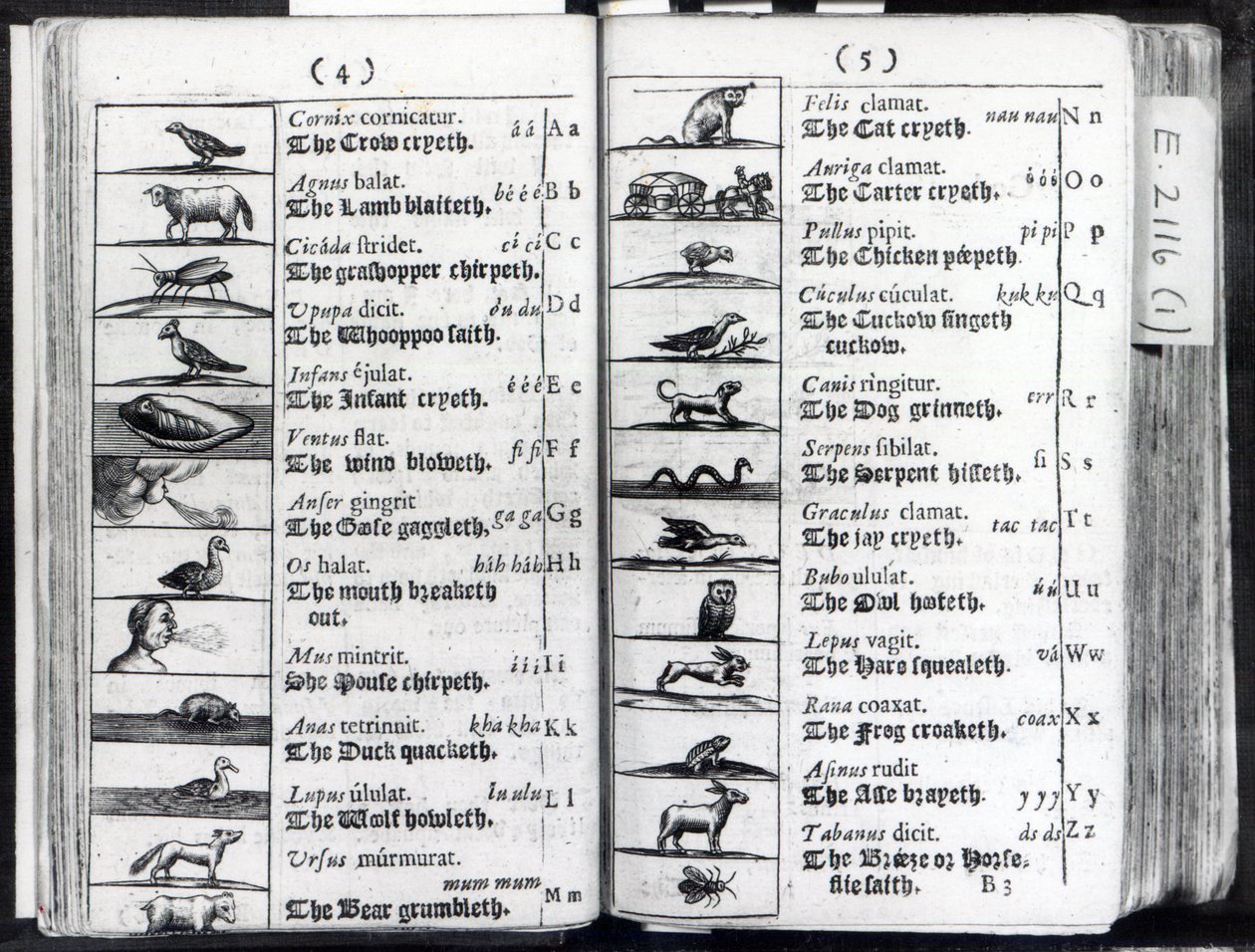 Két oldal az Orbis Sensual Pictusból, Comeniustól, 1659 alkotó: English School