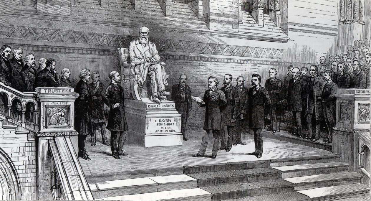 A néhai Charles Darwin szobrának leleplezése a South Kensington-i Természettudományi Múzeumban, 1885. június 9. alkotó: English School