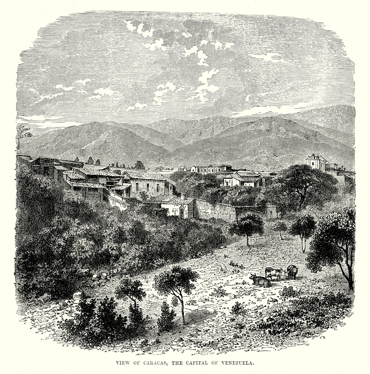 Caracas, Venezuela fővárosa (metszet) alkotó: English School