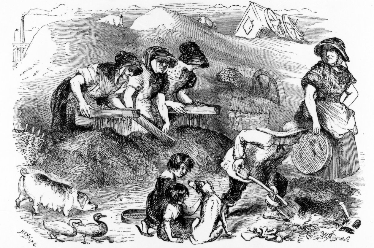 Kilátás egy poros udvarra, illusztráció a „Londoni munkásság és a londoni szegények” című könyvéből, Henry Mayhew, 1840-es évek alkotó: English School