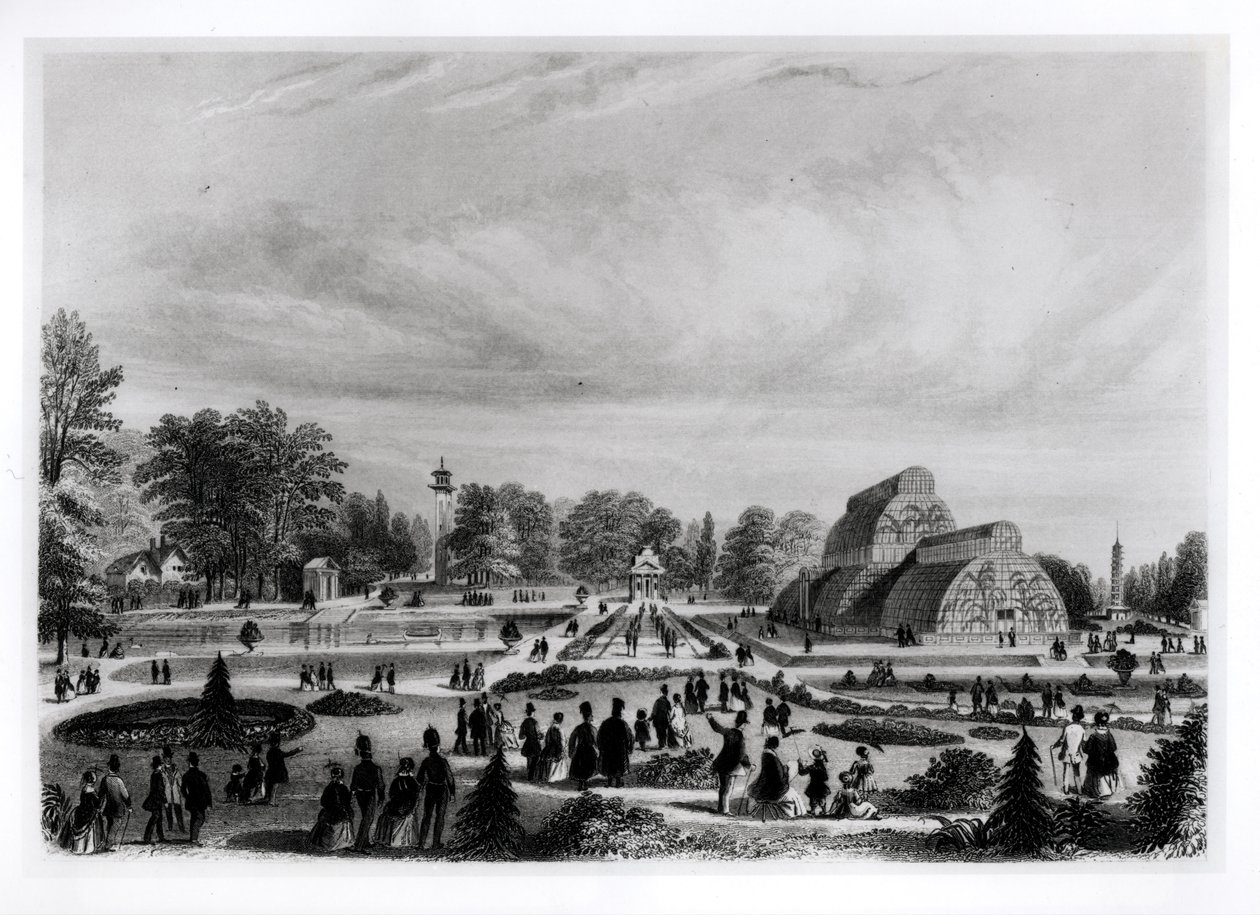 Látogatók, akik megtekintik a pálmaházat a Kew-palotában, 1860 körül alkotó: English School