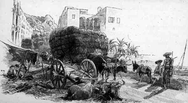 Kocsik Esparto Grass-szel, Almeria, Spanyolország, a „The Picturesque Mediterranean” 3. kötetéből, kiadó: Cassell and Co. Ltd. alkotó: English School
