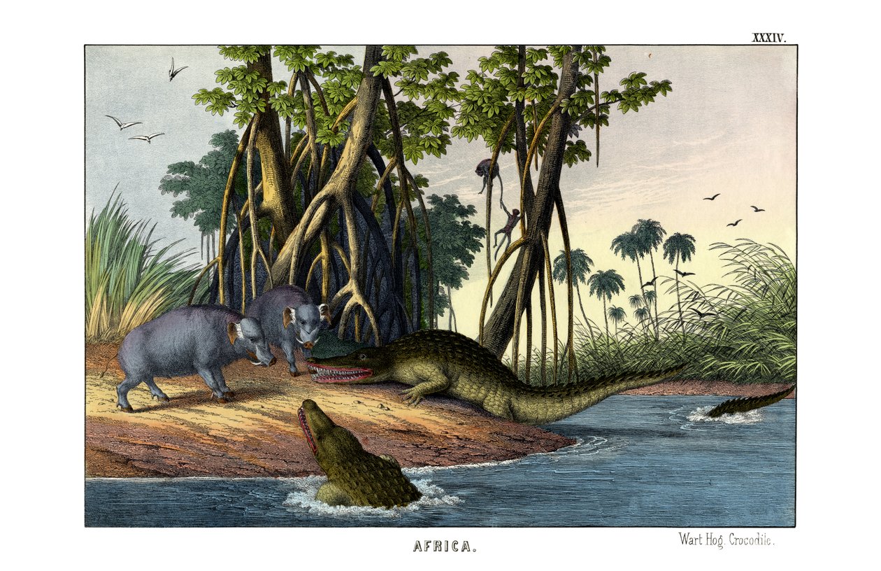 Warthog alkotó: English School