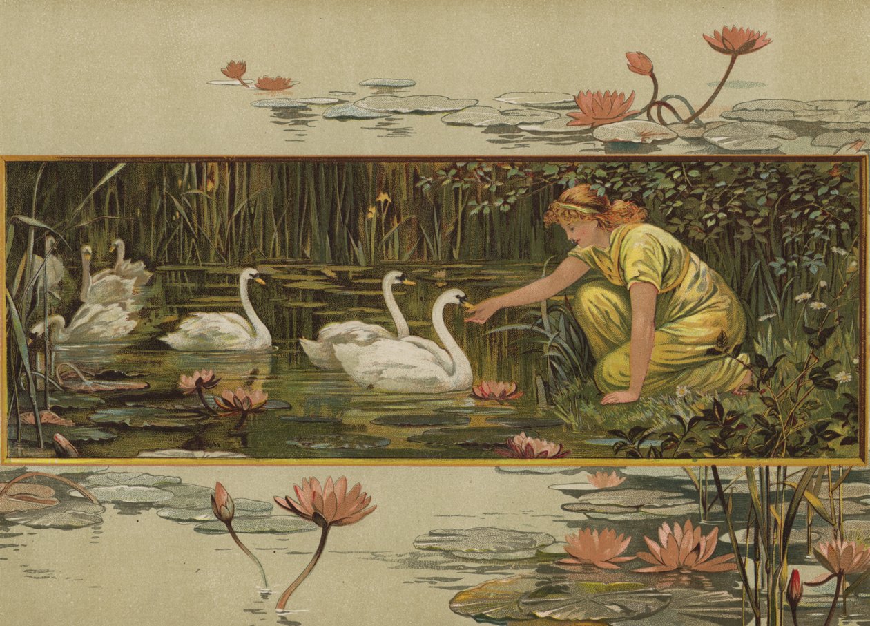 Ahol a tavirózsák nőnek (chromolitho) alkotó: English School