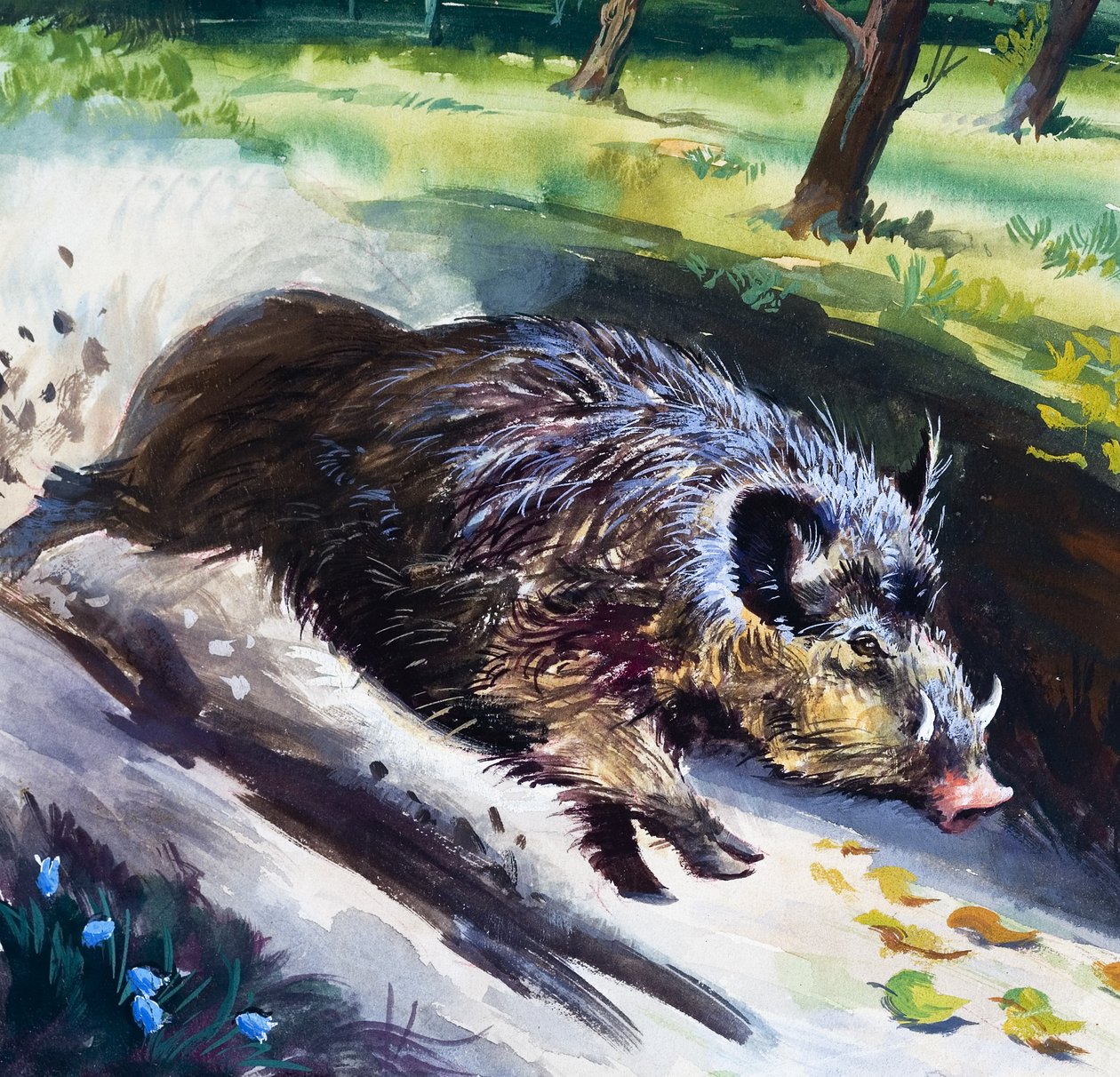 Vaddisznó (gouache, papír) alkotó: English School