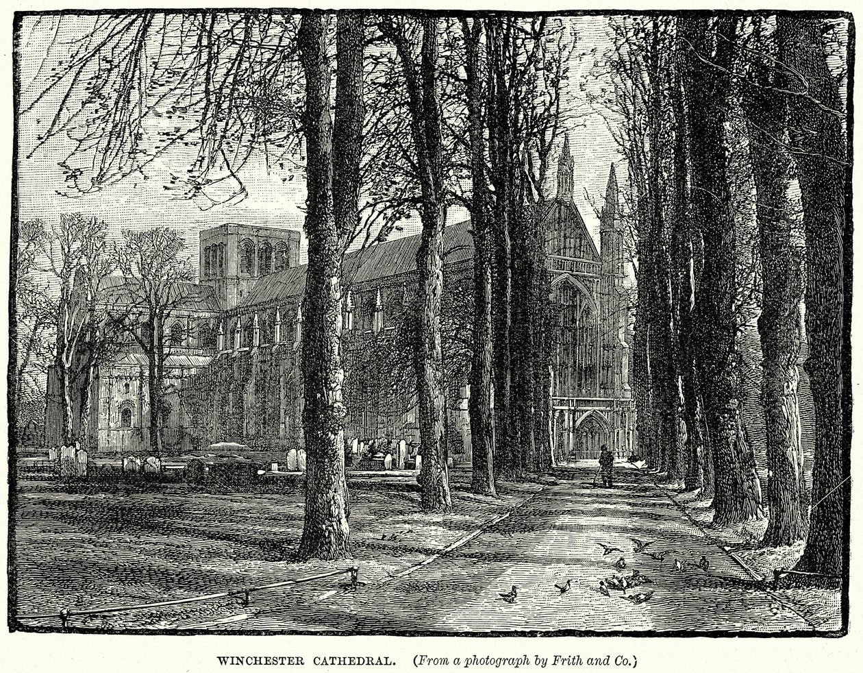 Winchester Cathedral (metszet) alkotó: English School