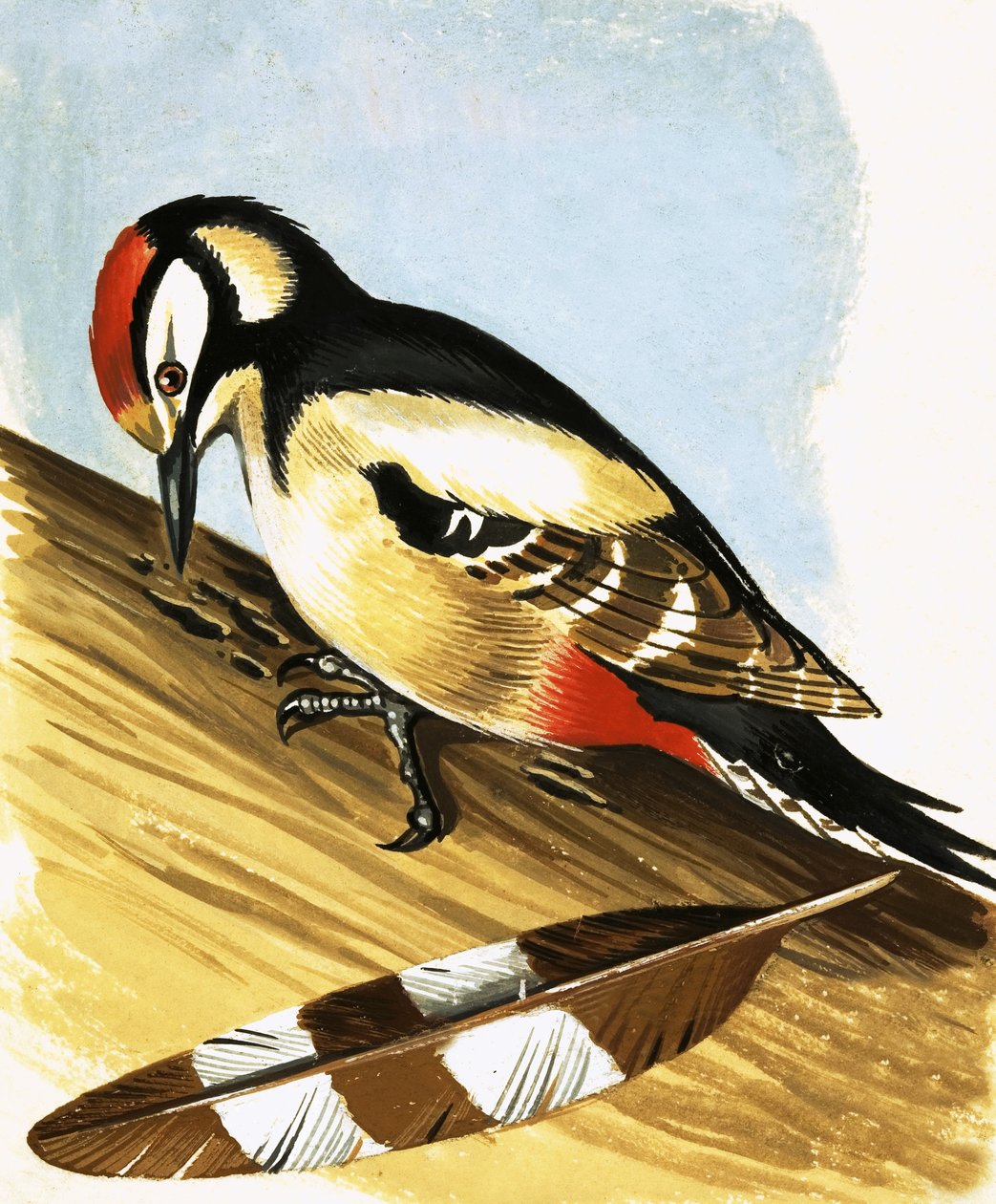 Woodpecker alkotó: English School