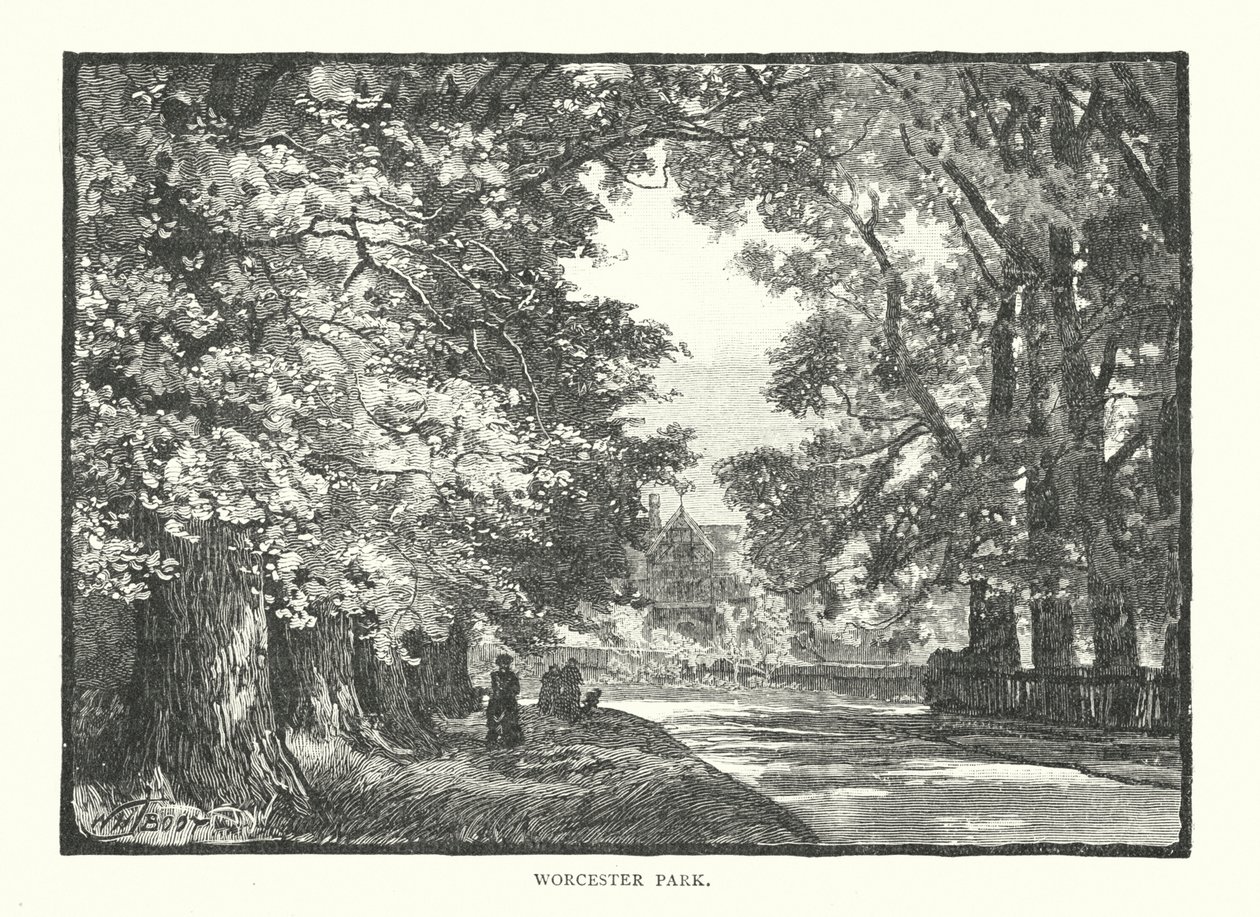 Worcester Park (metszet) alkotó: English School