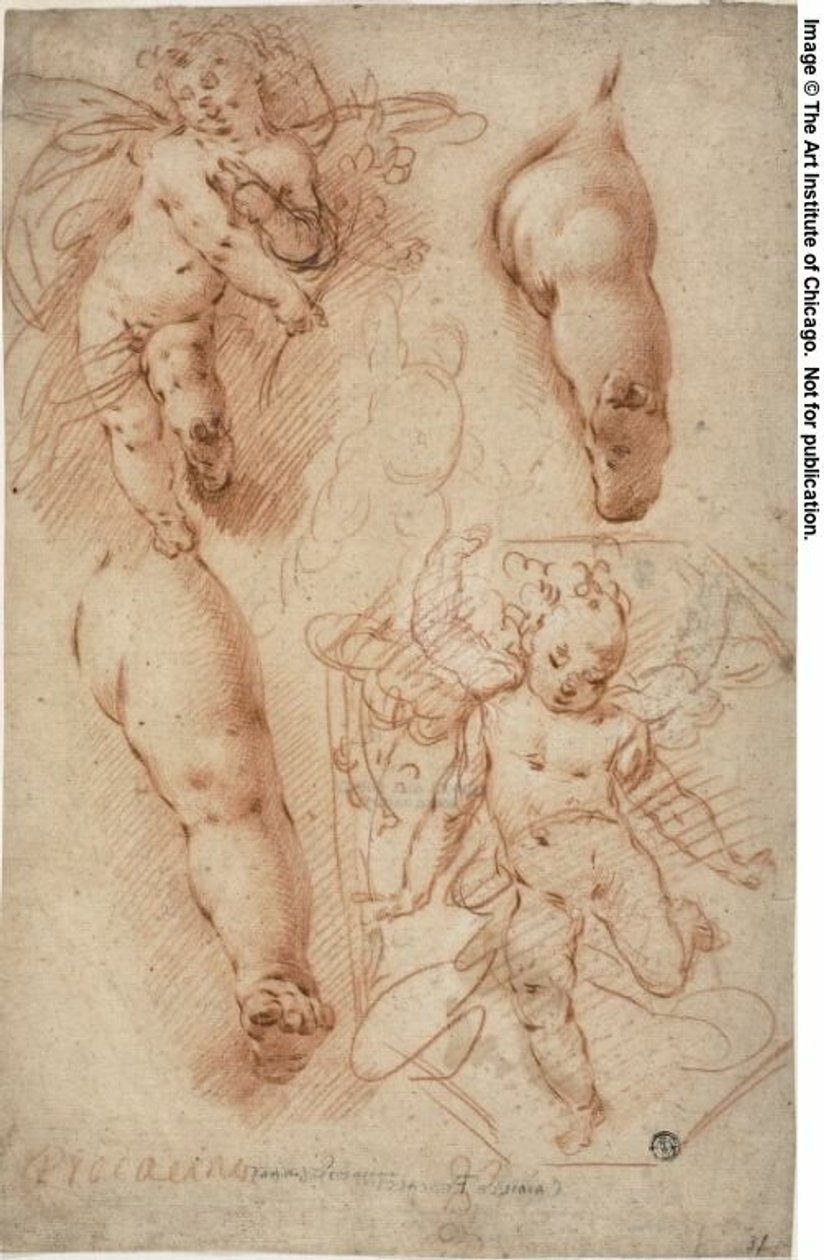 Putti vázlatok, lábak alkotó: Ercole Procaccini the younger