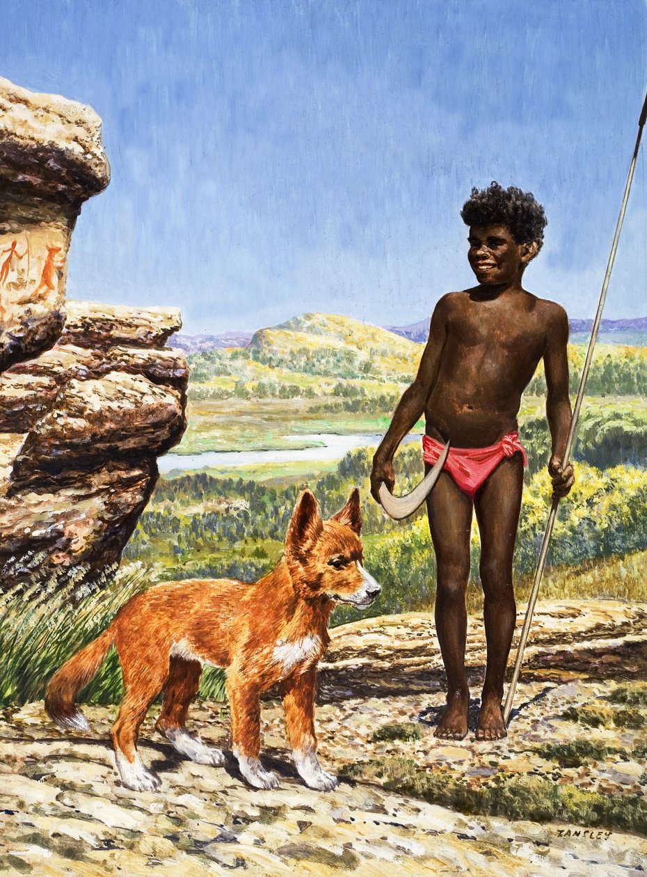 Aborigine fiú dingóval (gouache, papír) alkotó: Eric Tansley