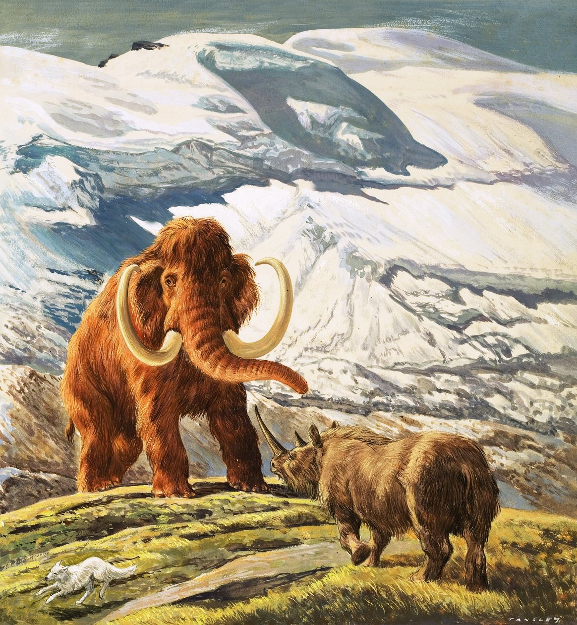 A mamut találkozik az orrszarvúval (gouache, papír) alkotó: Eric Tansley