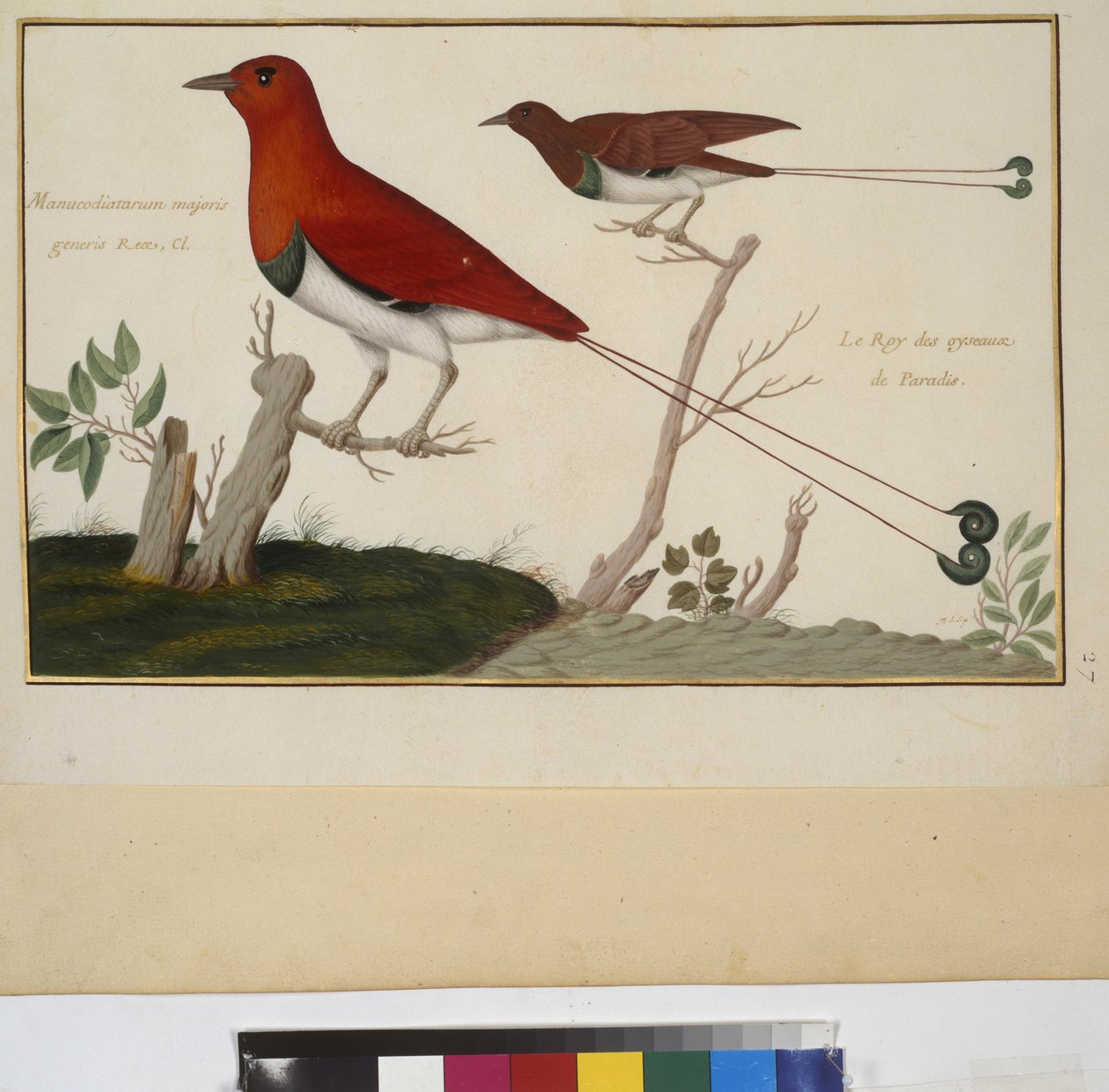  alkotó: Erich Lessing