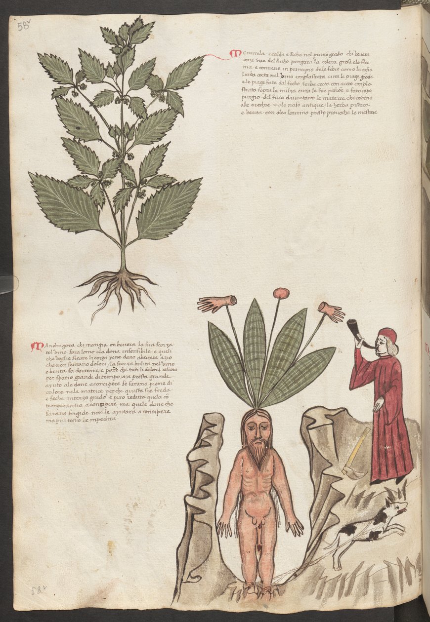  alkotó: Erich Lessing