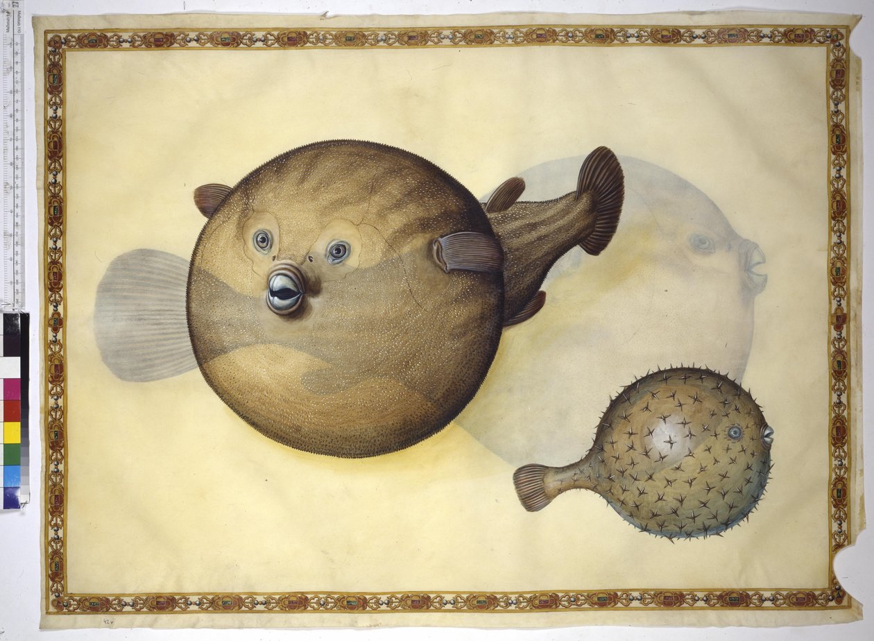  alkotó: Erich Lessing