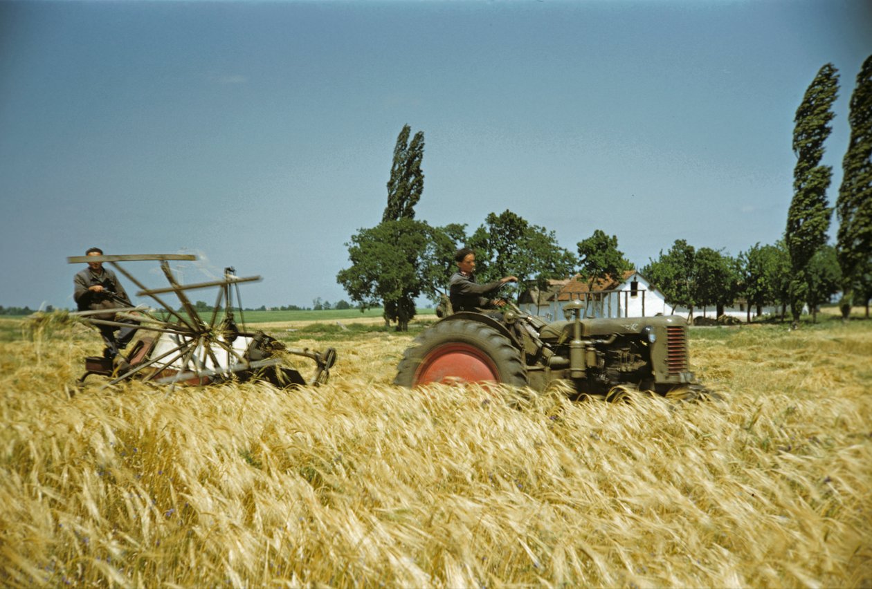  alkotó: Erich Lessing
