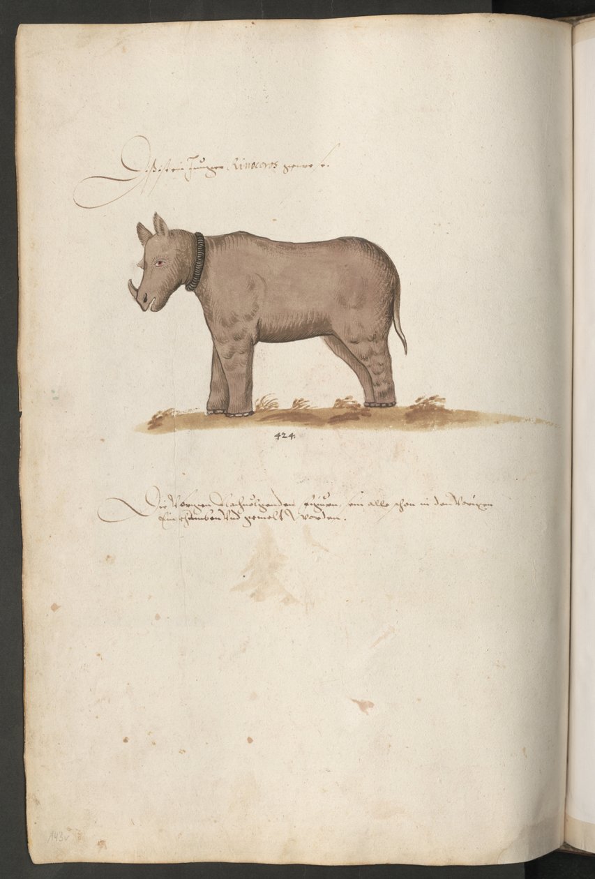  alkotó: Erich Lessing