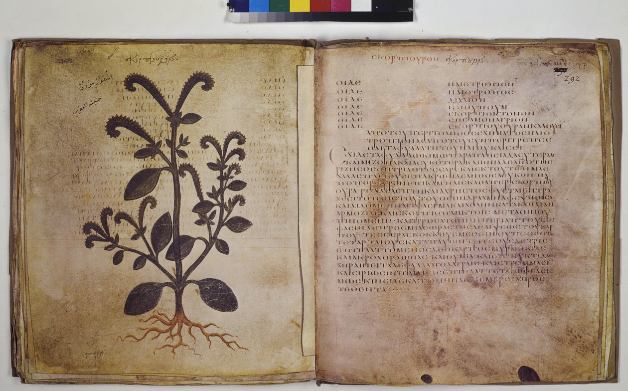  alkotó: Erich Lessing