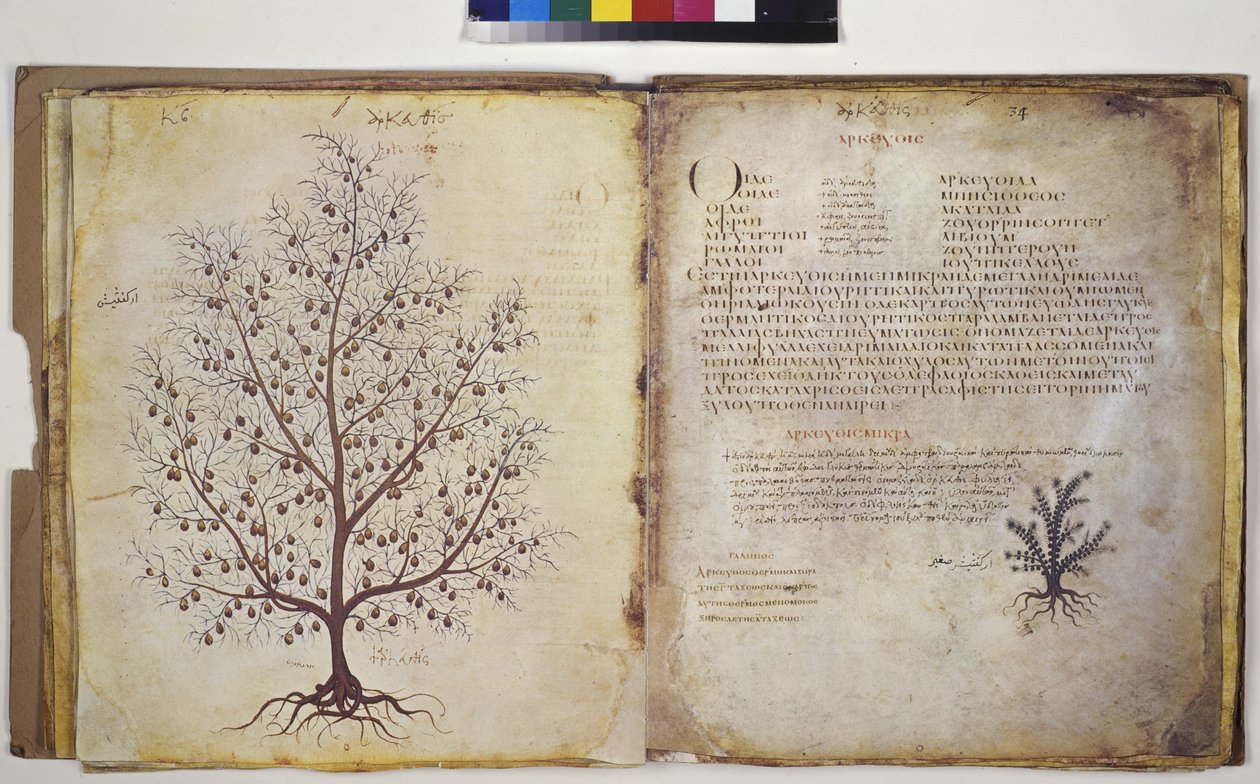  alkotó: Erich Lessing