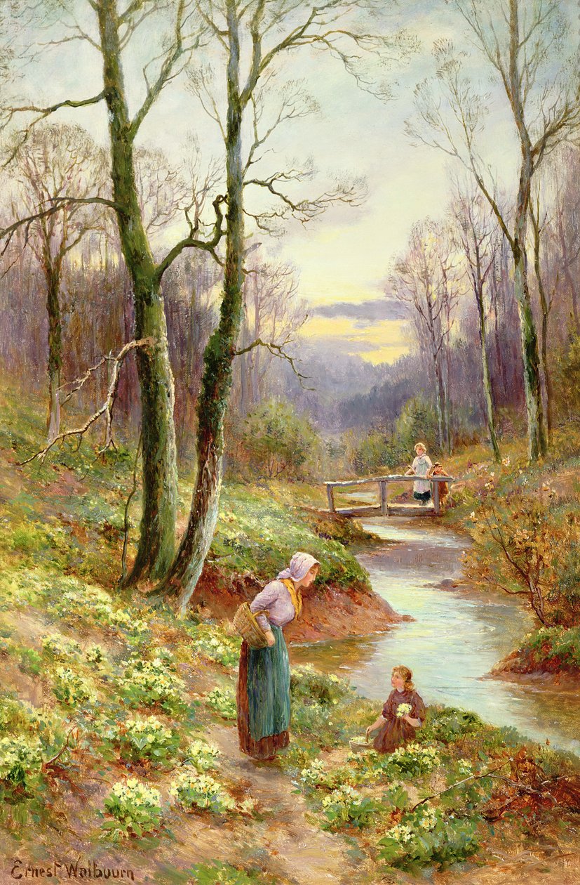 Primula szedése a patak mellett alkotó: Ernest Walbourn