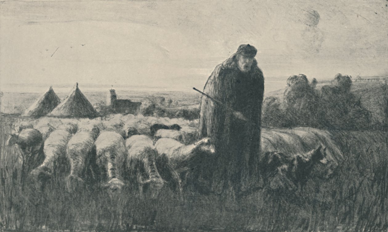 Pikárdia juhászkutya, 1919 alkotó: Ernest George Beach