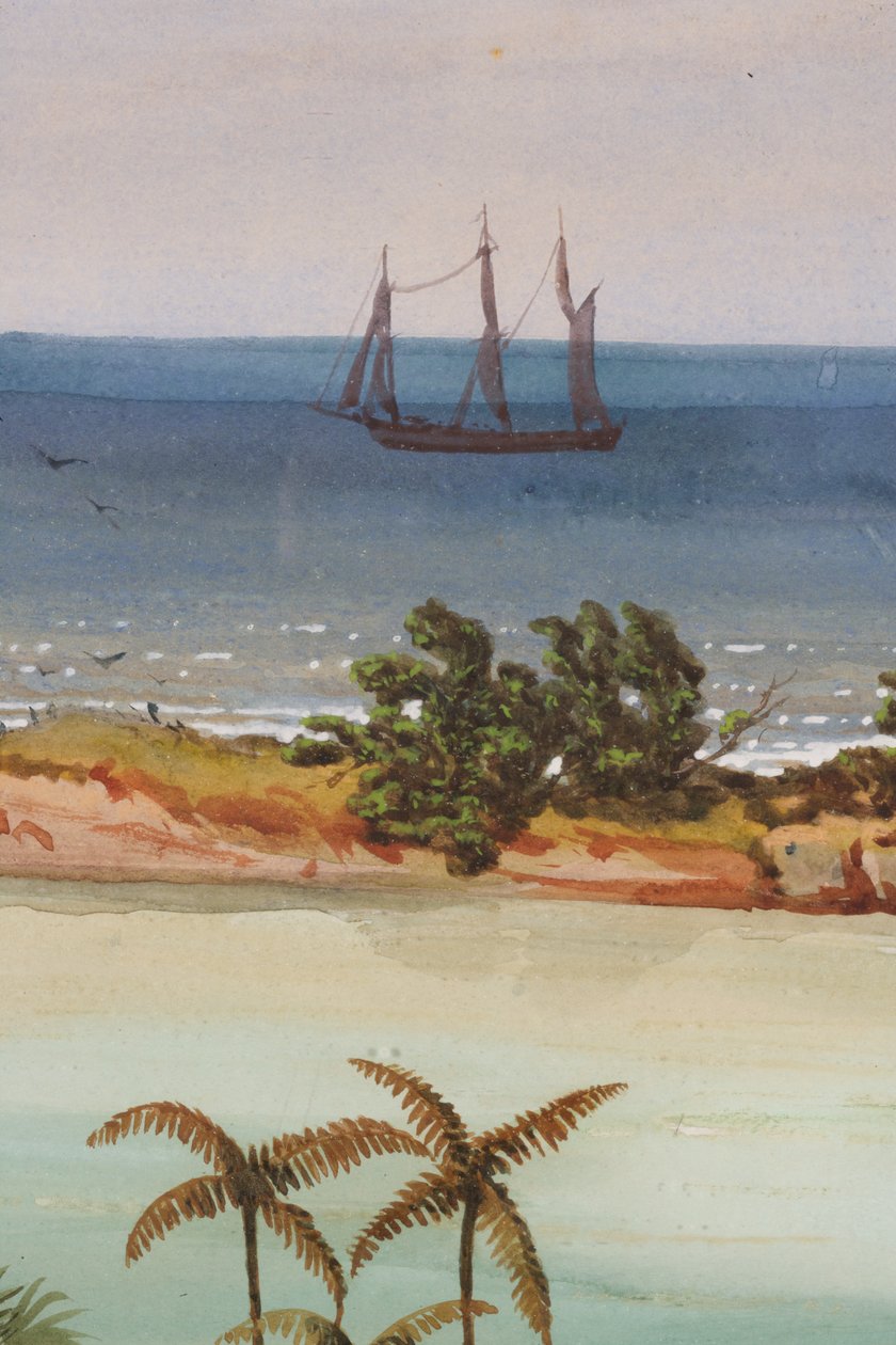 Részlet az Atoll triptichonjáról, 1871 wc papíron alkotó: Ernest Henry Griset