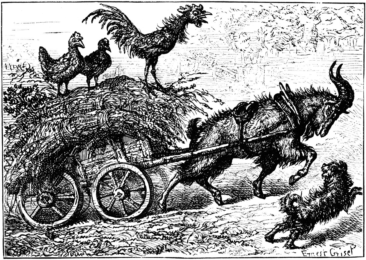 Illusztráció a Little Bo-Peep, c1880 című gyerekkönyvből. alkotó: Ernest Henry Griset