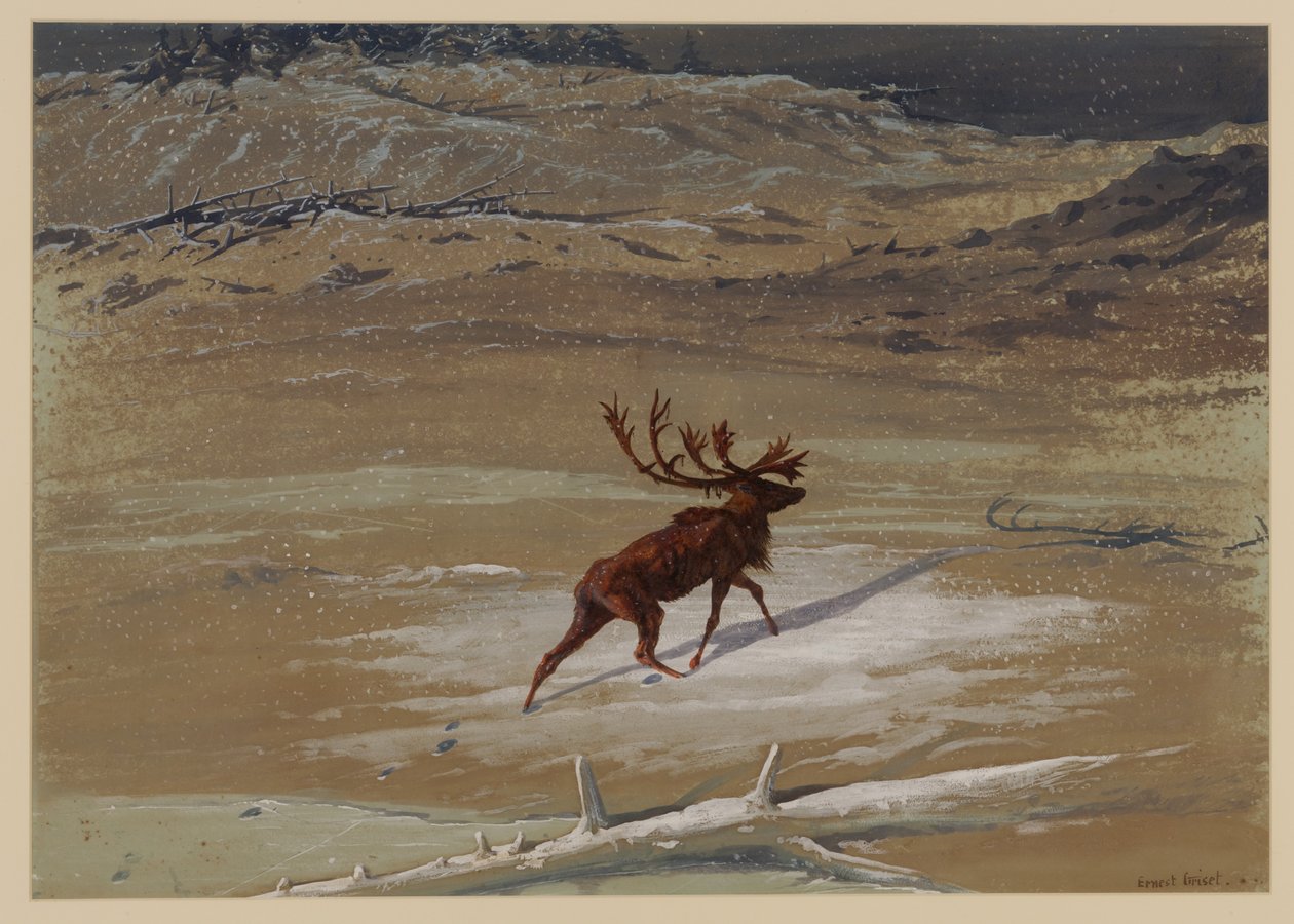 Szarvasbika, 1871 alkotó: Ernest Henry Griset