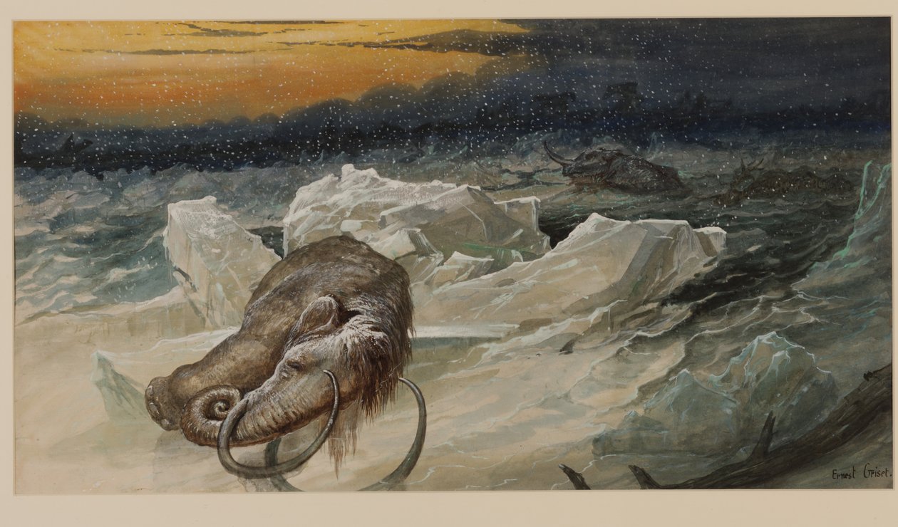 Gyapjas Mamut alkotó: Ernest Henry Griset