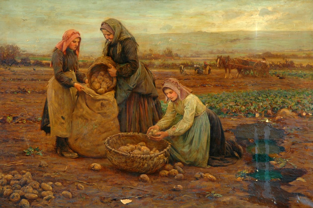 Burgonyaszedők (olaj, vászon) alkotó: Ernest Higgins Rigg