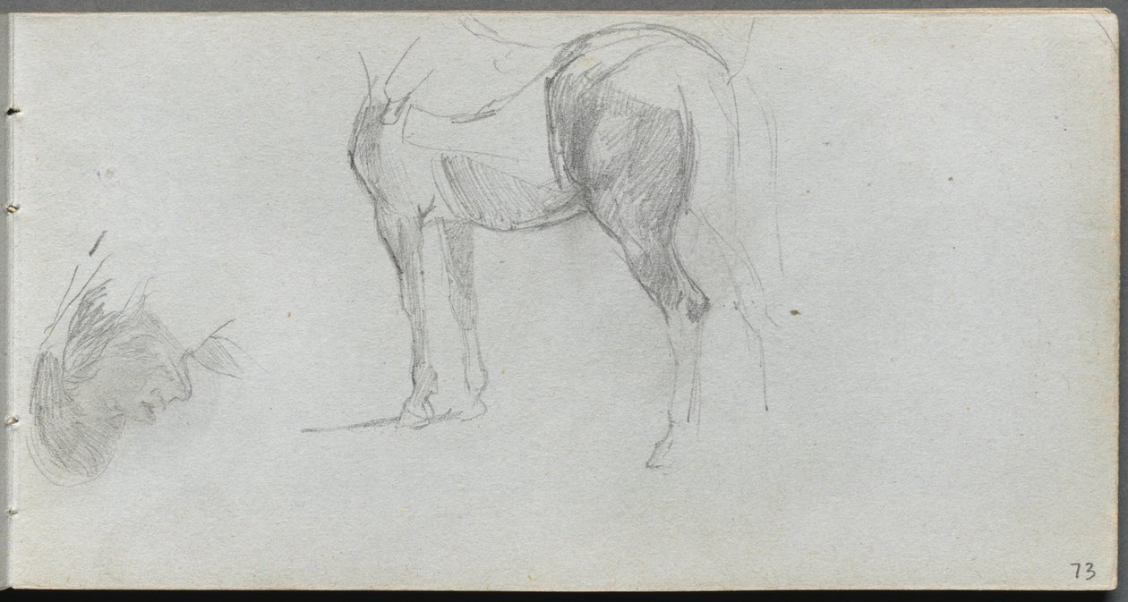 Vázlatfüzet, 73. oldal: Lótanulmány, profil. alkotó: Jean Louis Ernest Meissonier