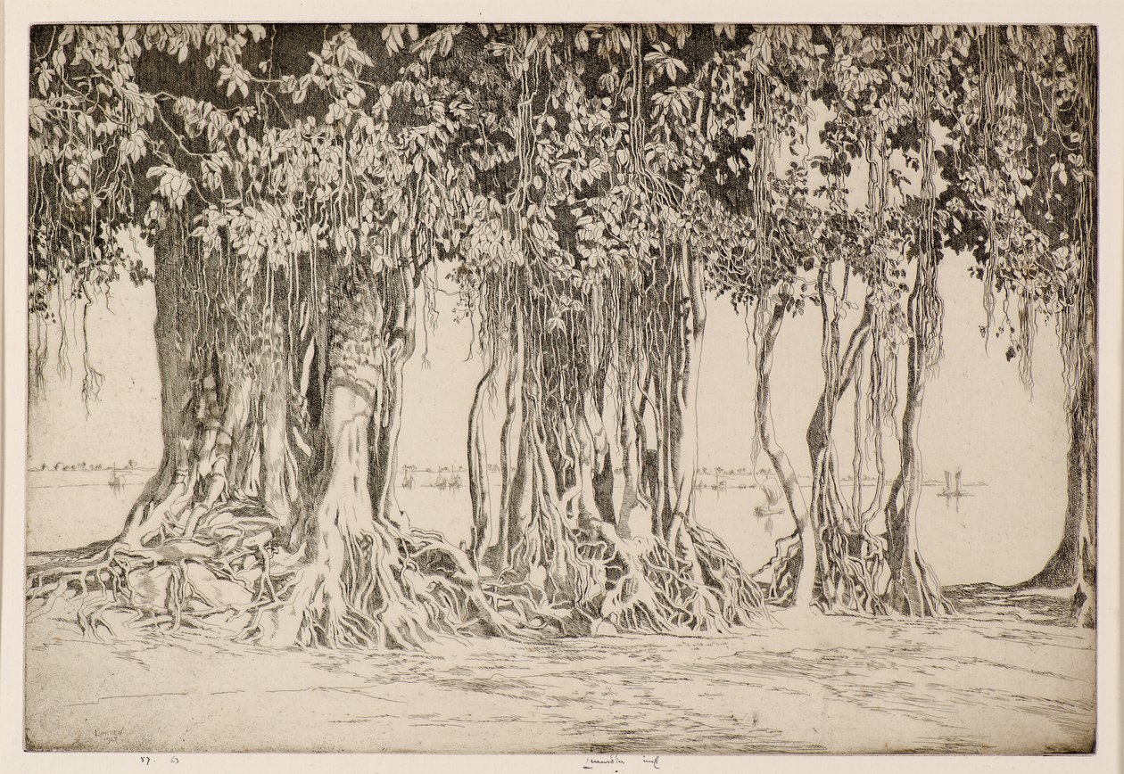 A Banyan fa alkotó: Ernest Stephen Lumsden