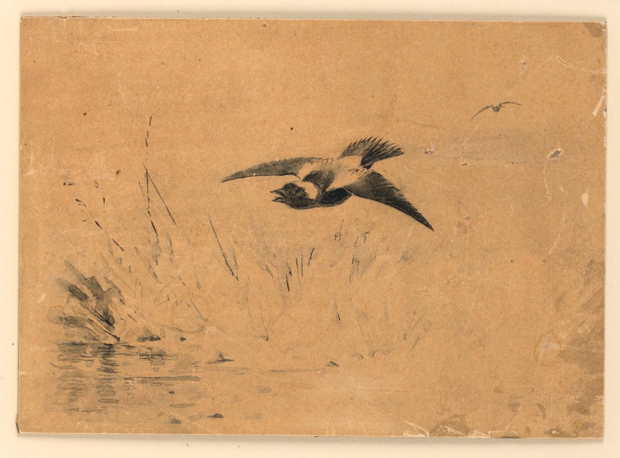 Bobolink alkotó: Ernest Thompson Seton