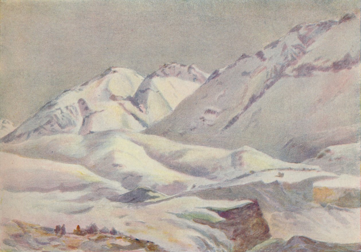 Andok, 1916 alkotó: Ernest William Christmas