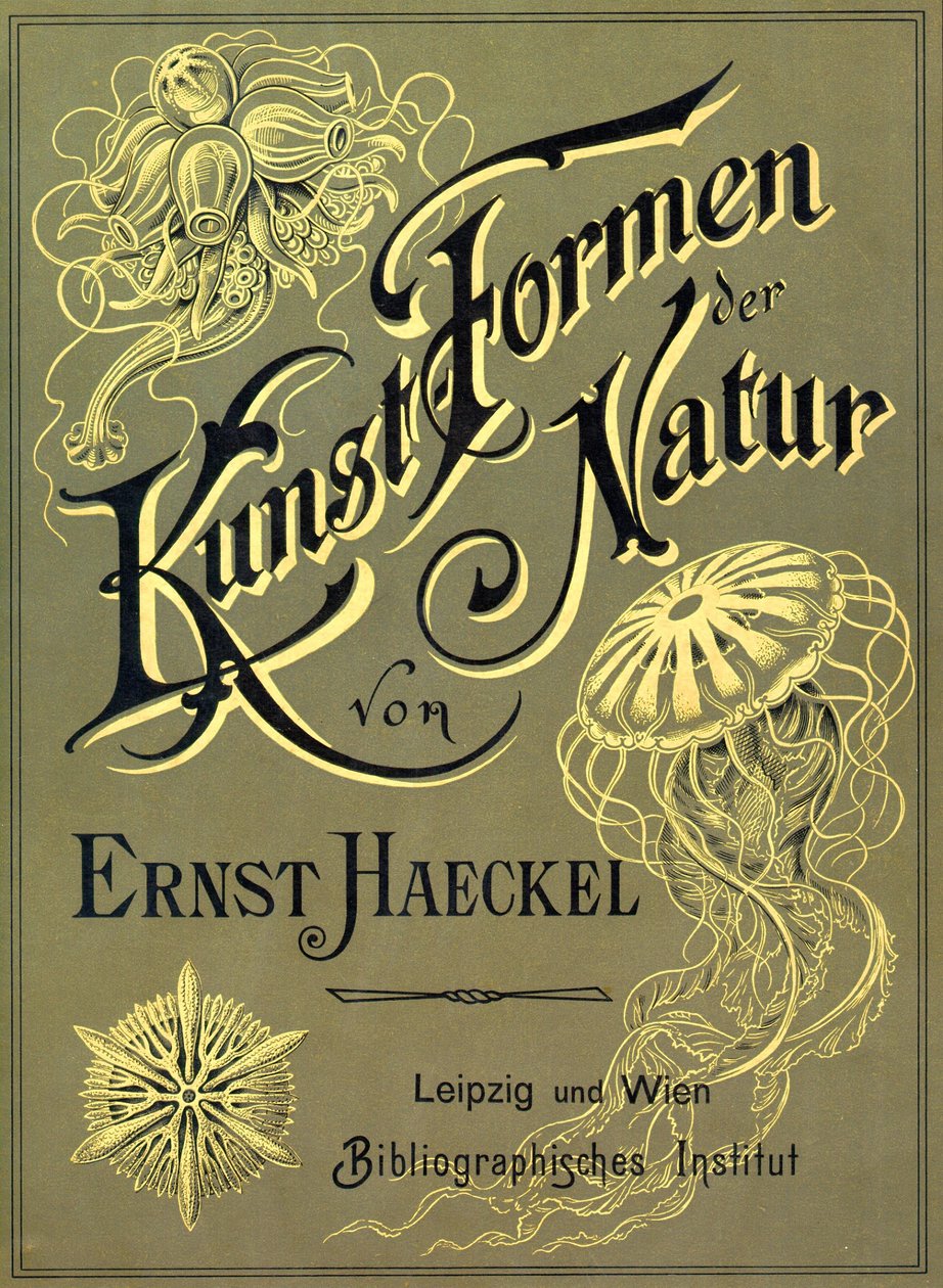 Ernst Haeckel „Art Forms of Nature” címlapja alkotó: Ernst (after) Haeckel