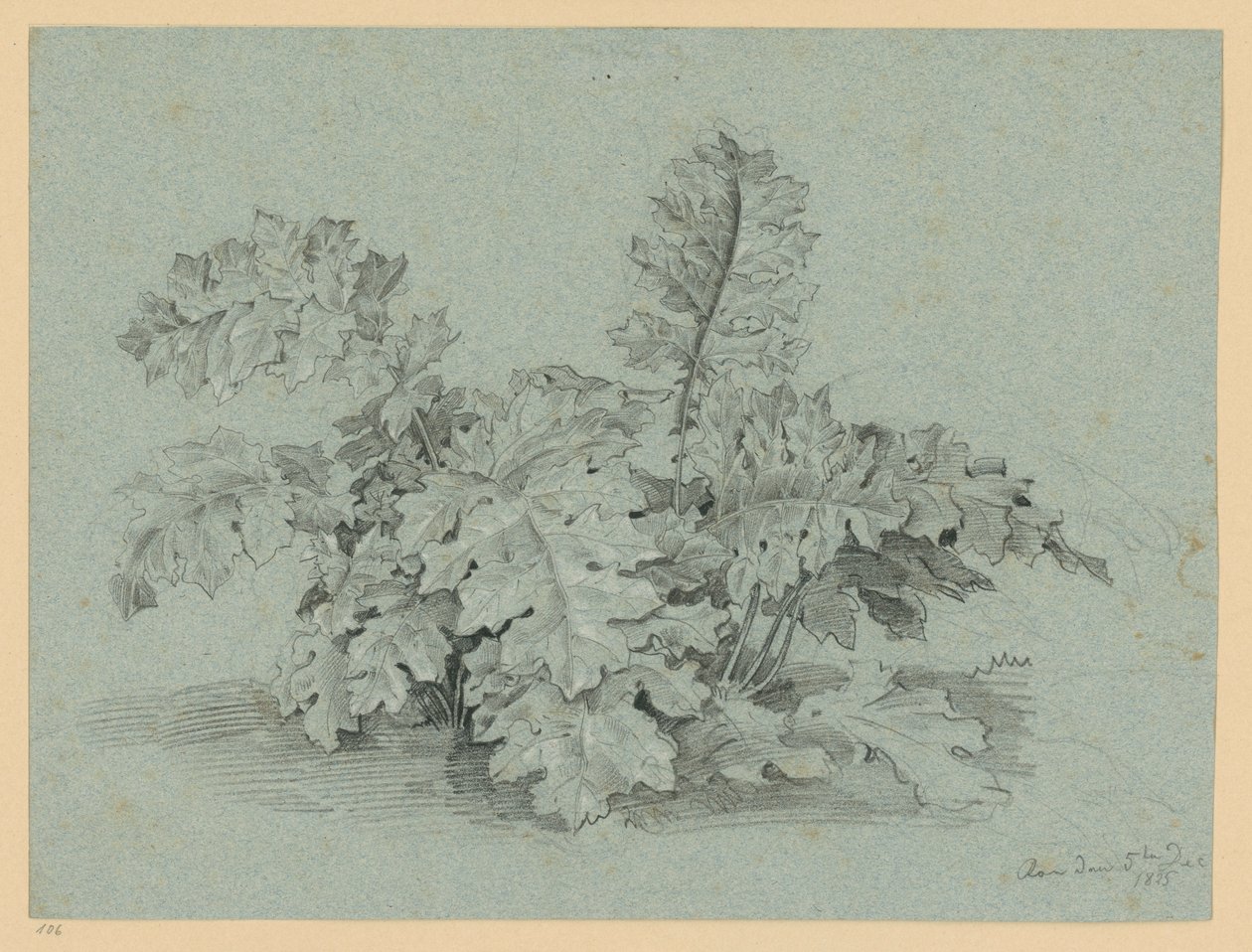 Akanthusznövény alkotó: Ernst Fries