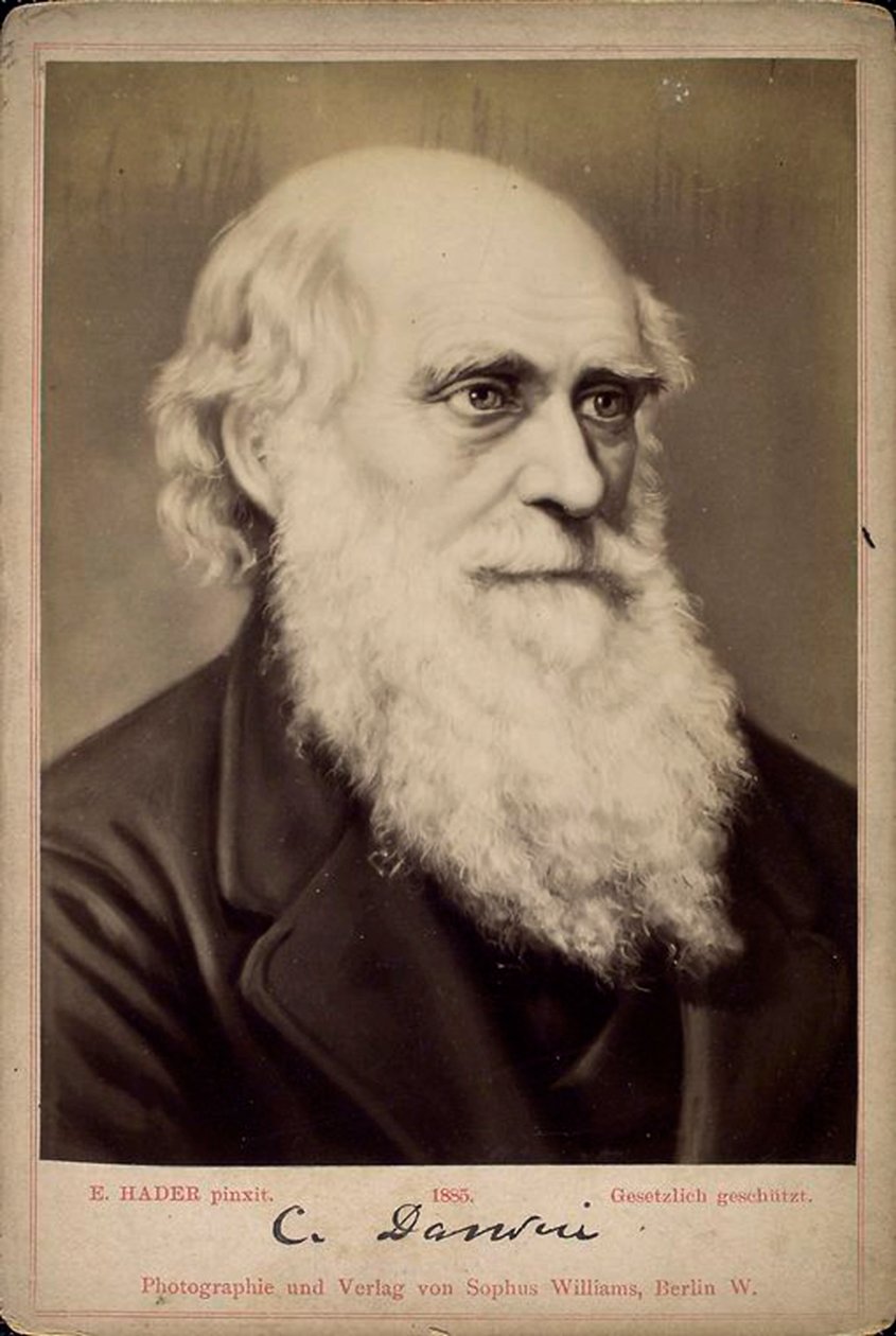 Charles Darwin, brit természettudós, 1860-1870 között alkotó: Ernst Hader