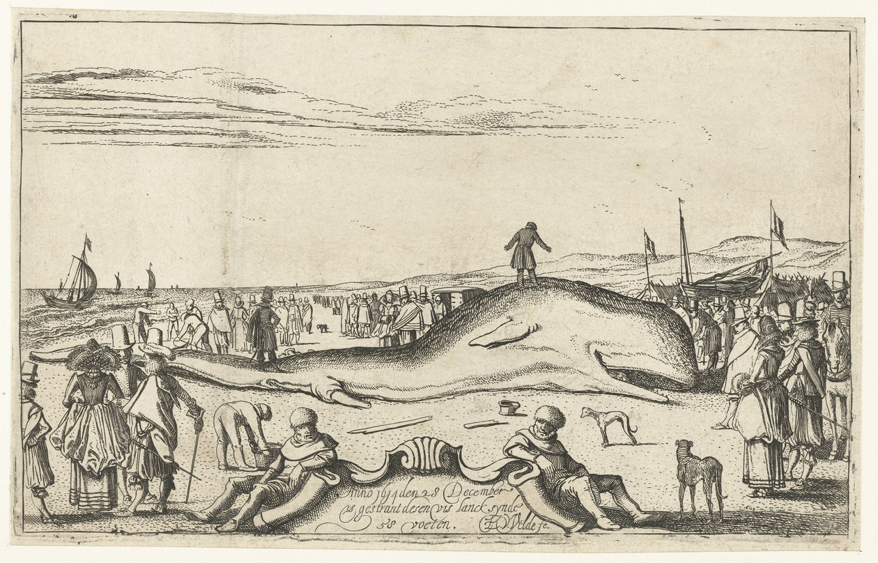 Partra vetett bálna Noordwijk tengerpartján, 1614 alkotó: Esaias van de Velde