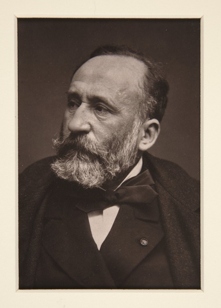 Pierre Puvis de Chavannes portréja (1824-1898) alkotó: Etienne Carjat