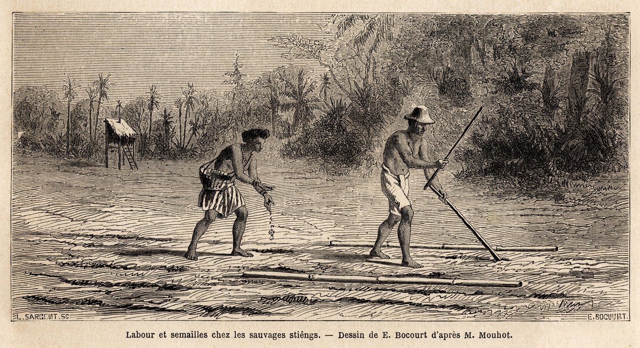 Szántás és vetés a vadak között, a kambodzsai erdők lakói, stiengek, E.Bocour rajza Henri Mouhot 1858-tól 1861-ig tartó Sziam, Kambodzsa és Laosz királyságon keresztüli utazásának illusztrálására. , szerkesztve alkotó: Etienne Gabriel Bocourt
