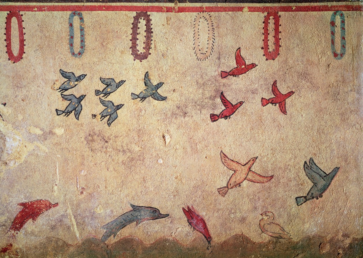 Vízi madarak és ugráló delfinek, a Vadászat és halászat sírjából, ie 520-10 körül (falfestmény) alkotó: Etruscan