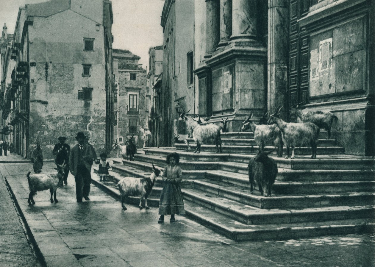 Kecske a katedrális lépcsőjén, Palermo, Szicília, Olaszország, 1927 alkotó: Eugen Poppel