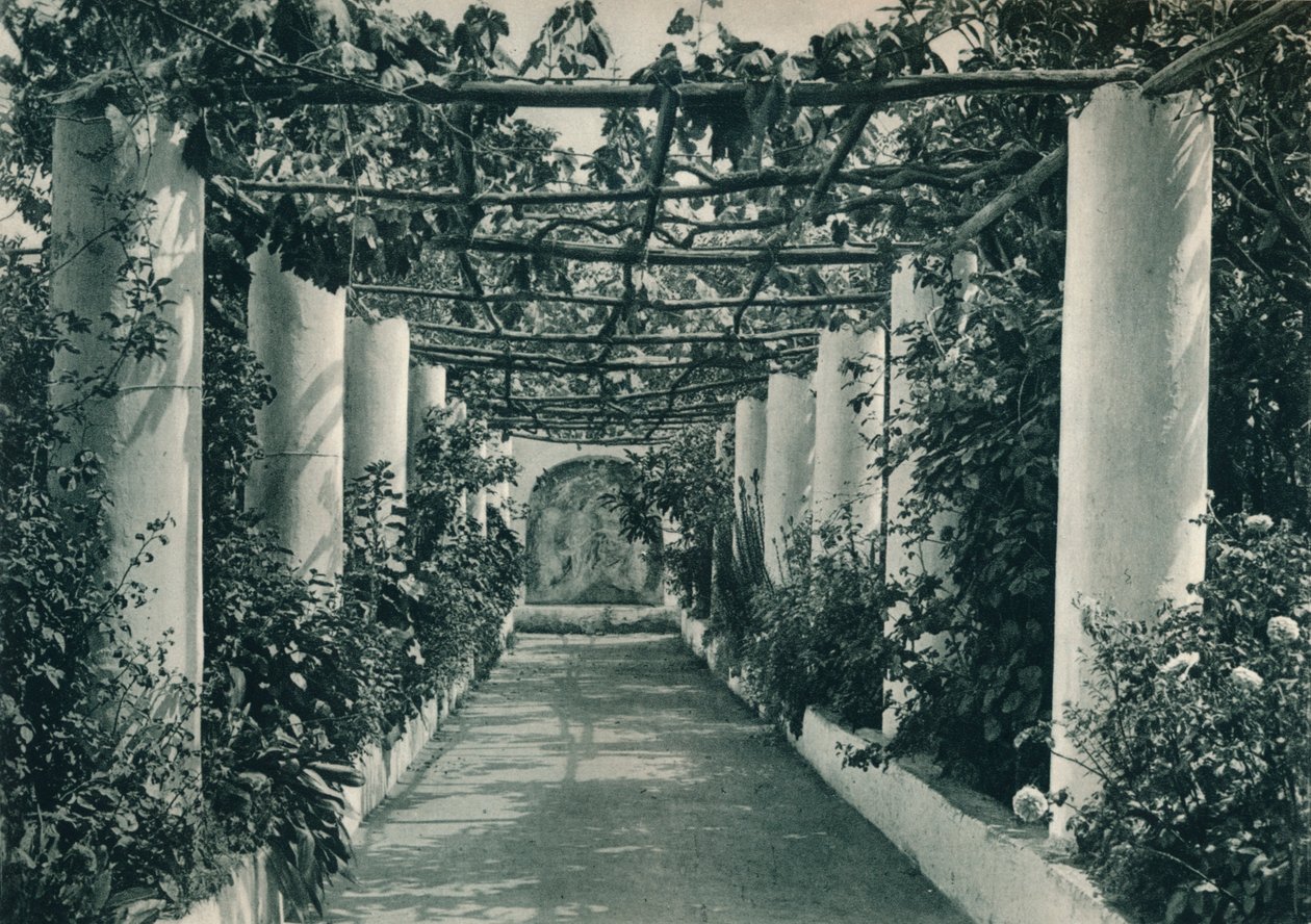 Pergola a szőlőben, Capri, Olaszország, 1927 alkotó: Eugen Poppel