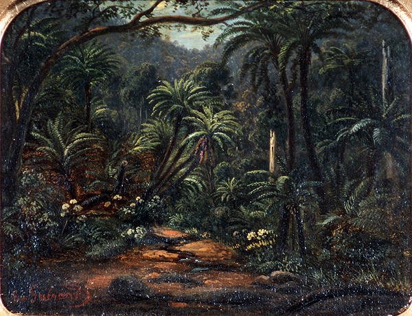 Ferntree Gully a Dandenong-hegységben alkotó: Eugen von Guerard
